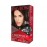 Revlon Color Silk Hair Color 2N (Brown Black), 5g